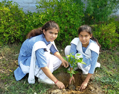 S.D. PUBLIC SCHOOL